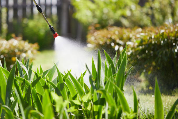 24/7 Emergency Cockroach Control experts in Midland Park, NJ